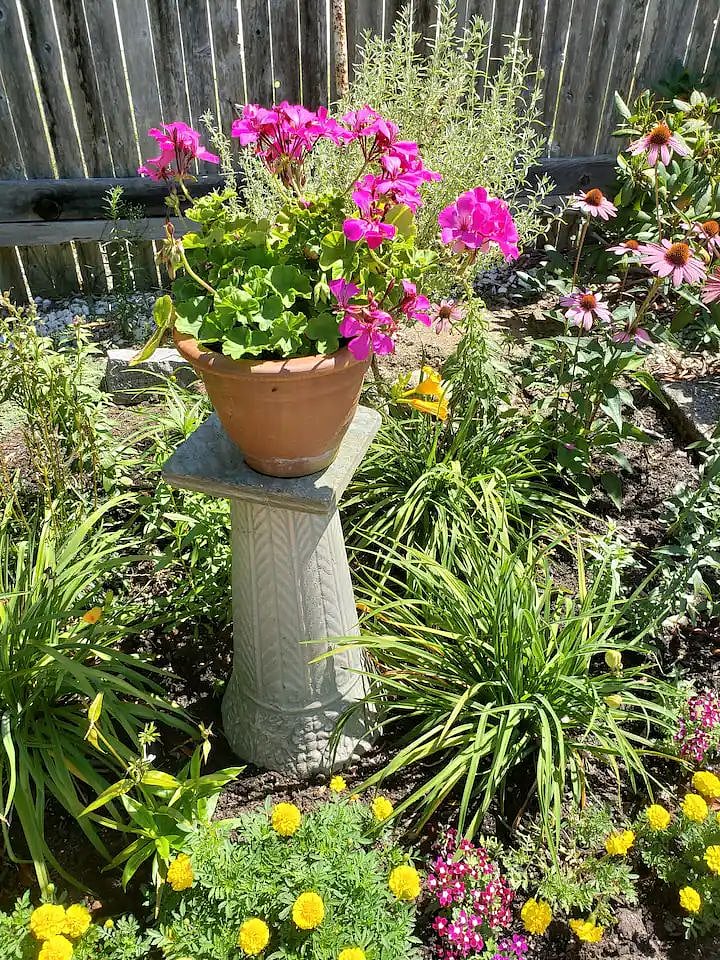 Colorful gardens