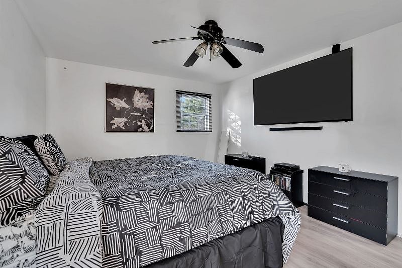 Furnished Finder property 470906_1 photo 9