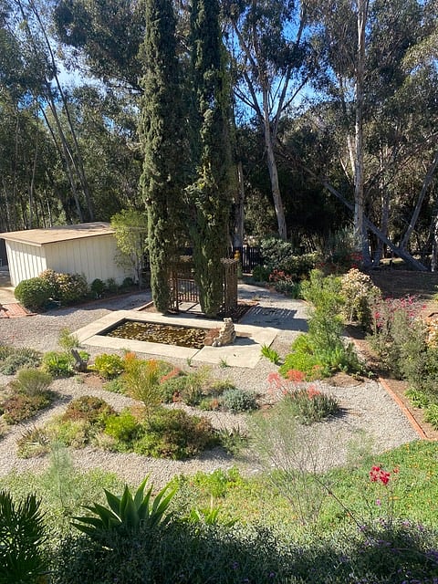 Pond on side yard