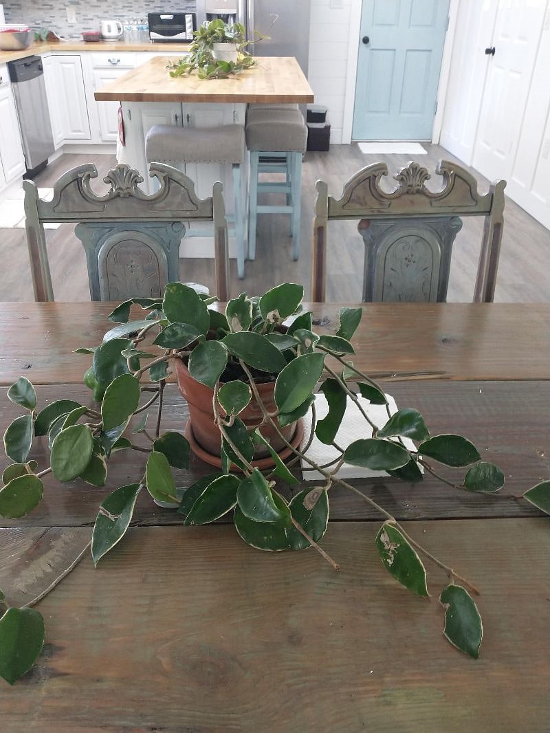 Furnished Finder property 471216_1 photo 8