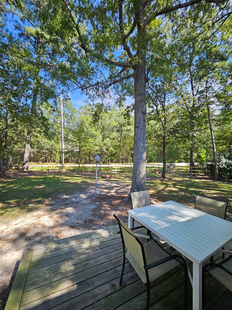 Furnished Finder property 471463_1 photo 18