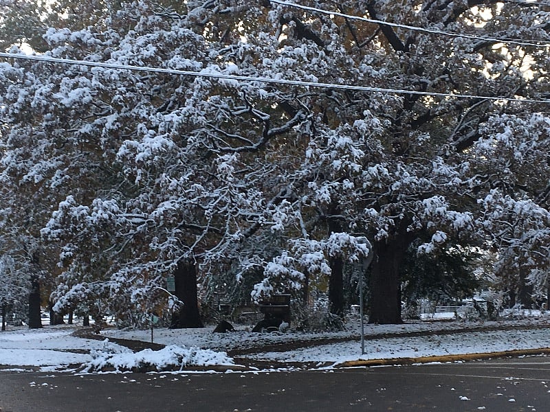 Orton Park view from front yard