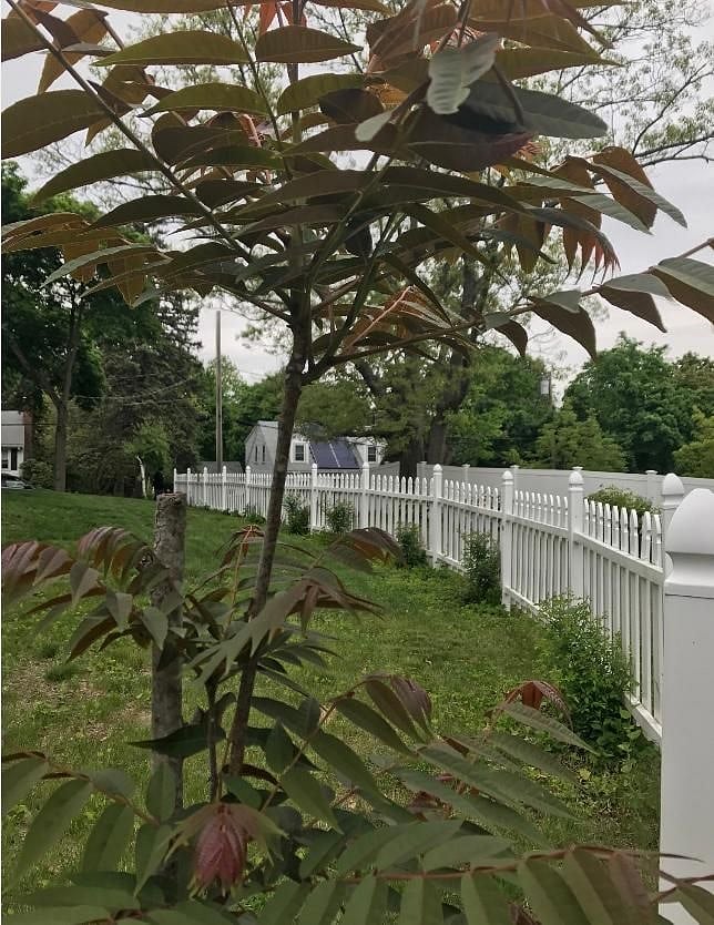 Furnished Finder property 471660_1 photo 3