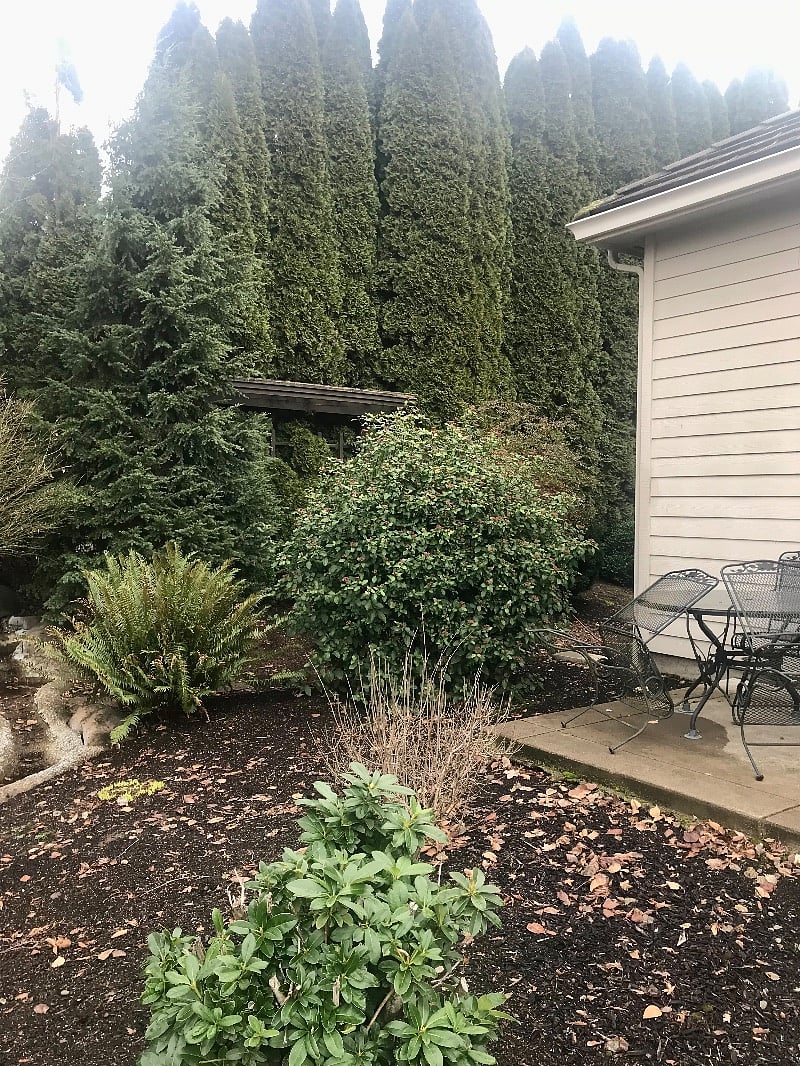 Furnished Finder property 471726_1 photo 13