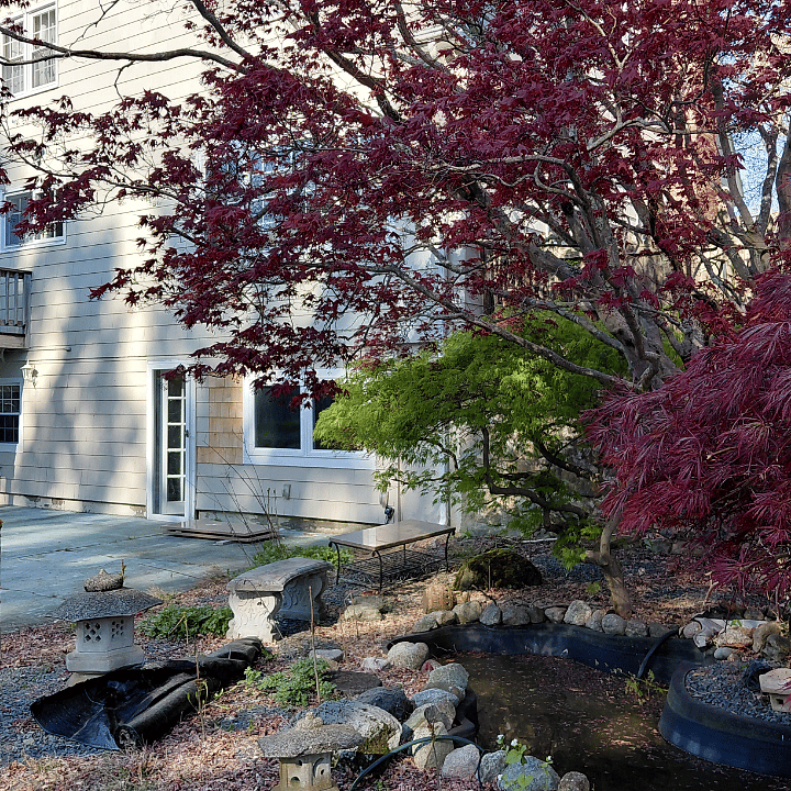 Furnished Finder property 471807_1 photo 13