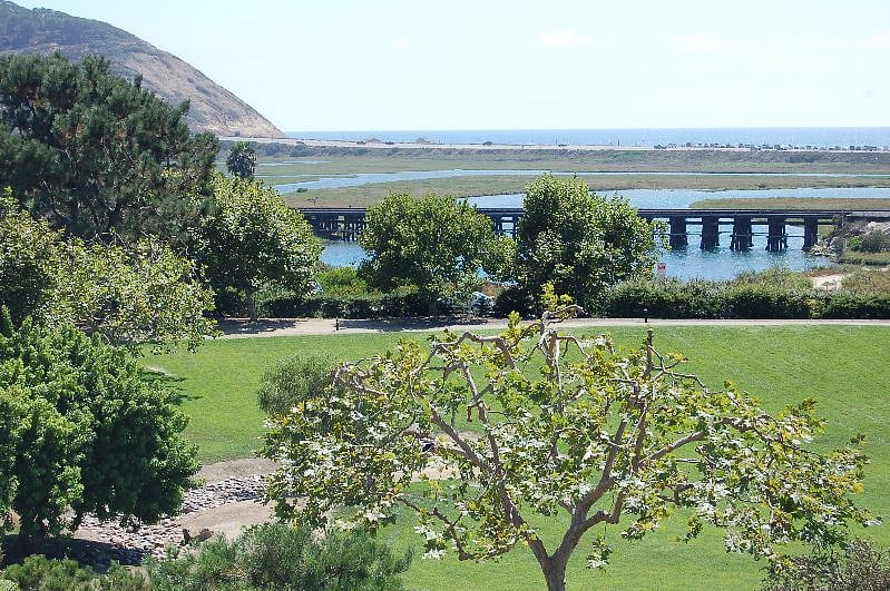 View of Torrey Pines from the neighborhood park