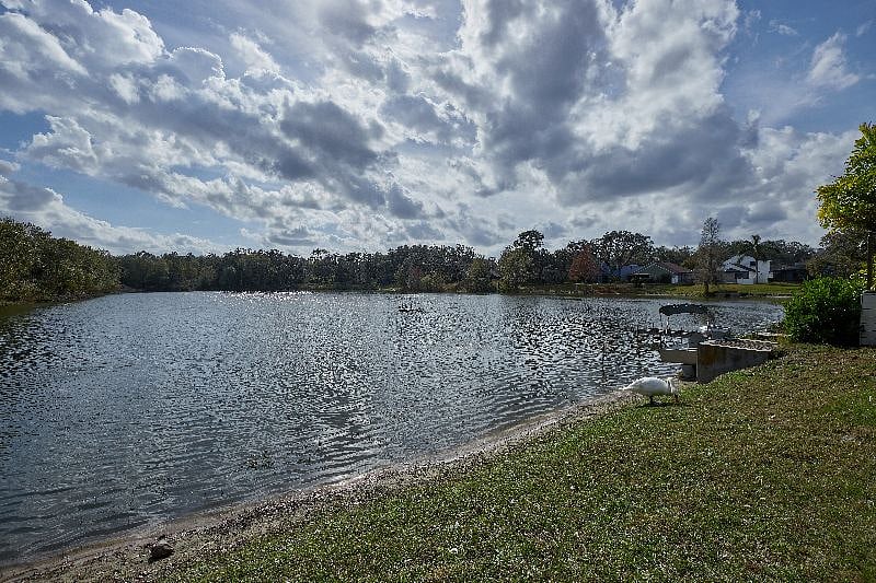 Furnished Finder property 472192_1 photo 28