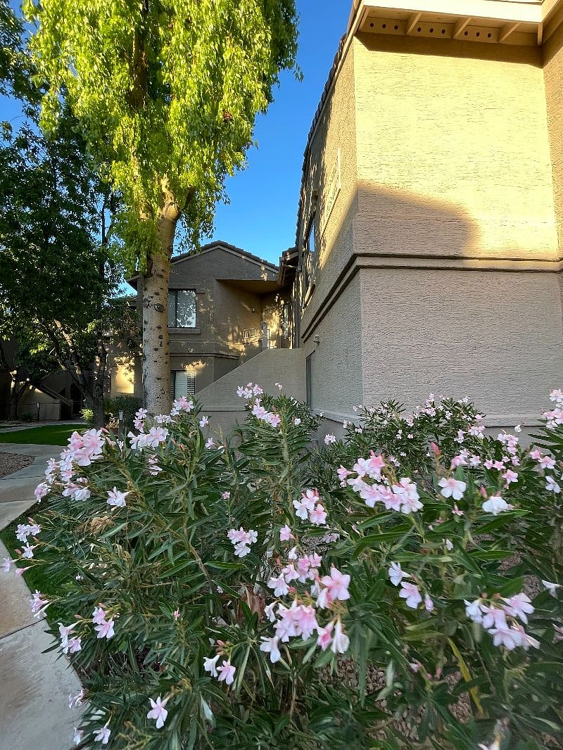 Furnished Finder property 472238_1 photo 25