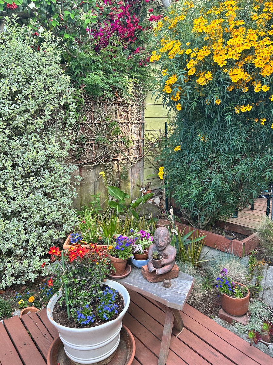 Always something in bloom!