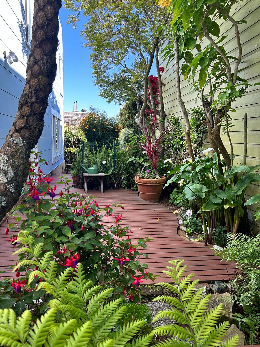 Serene Garden
