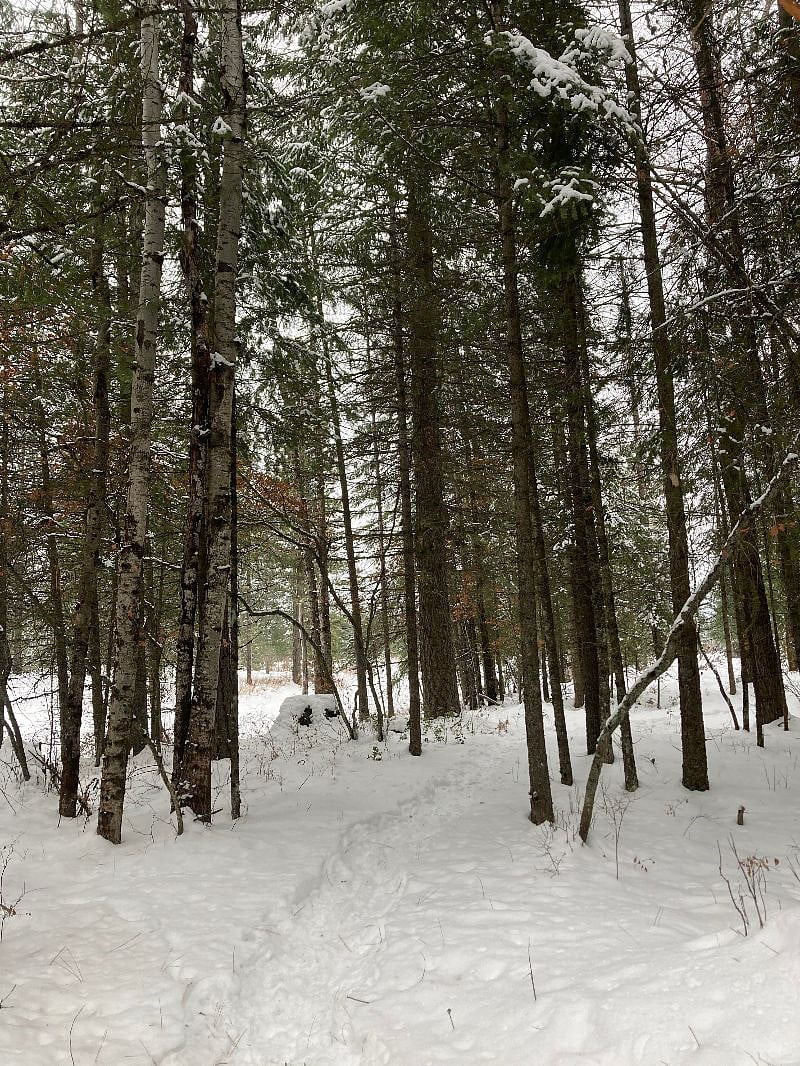 Snowshoe Trail