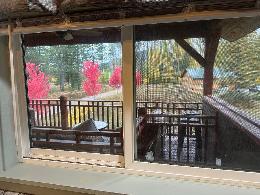 Fall view from kitchen window