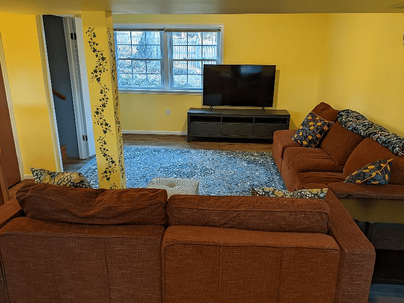 Family Room (lower level)