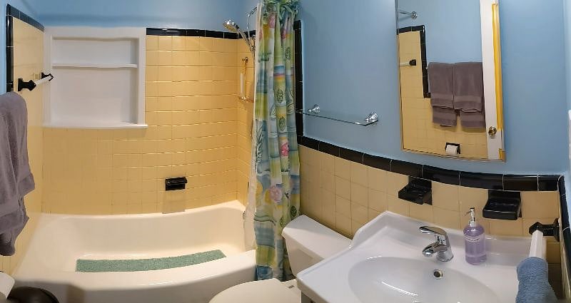 Bathroom (middle level)