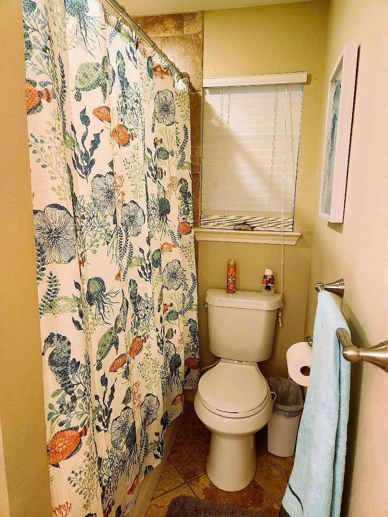 Furnished Finder property 472910_1 photo 20