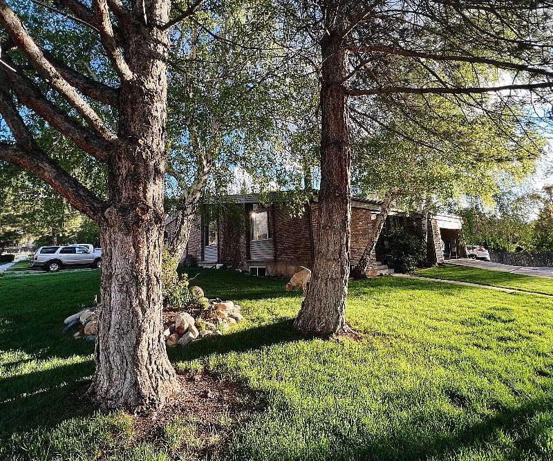 Furnished Finder property 473038_1 photo 2