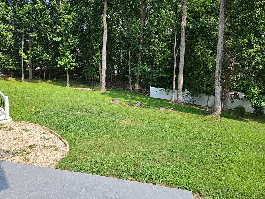 Furnished Finder property 473152_1 photo 17