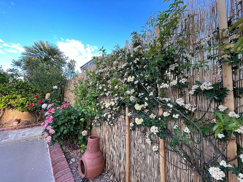 Furnished Finder property 473170_1 photo 17