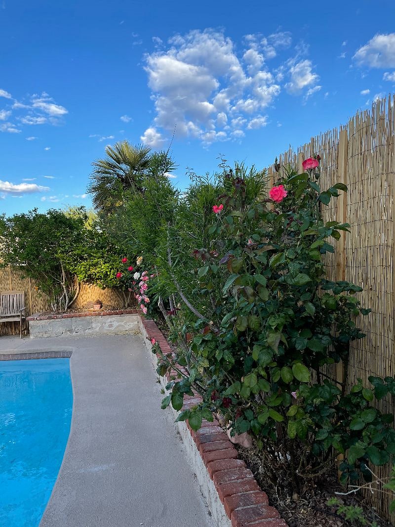 Furnished Finder property 473170_1 photo 18