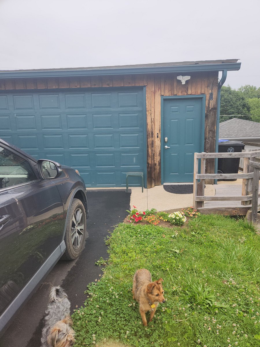 Your Dedicated Parking spot, private entrance, motion activated lighting, keypad entry. Door dash/delivery table to left of door so your food is not on ground. Currently no flowers, current tenant asked for vegetables so tomatoes, peppers, cucumbers...yours to pick while they last!