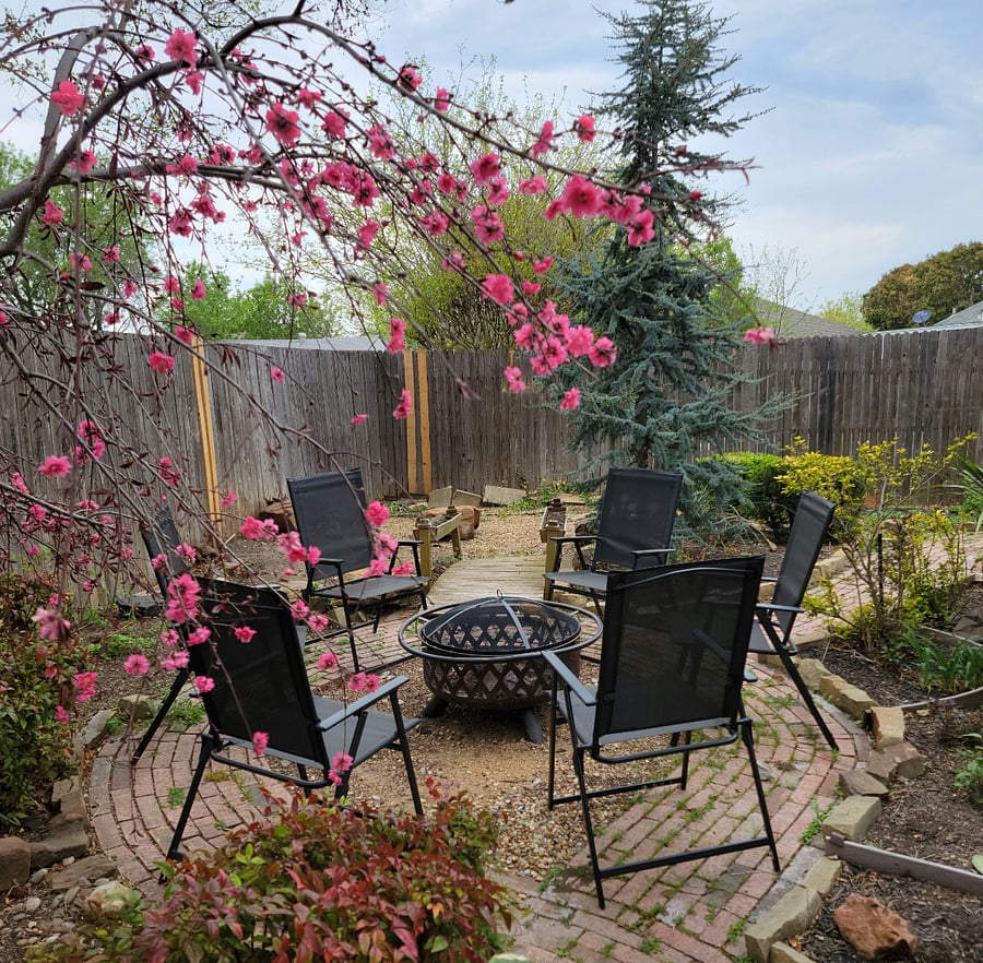 Furnished Finder property 473296_1 photo 6