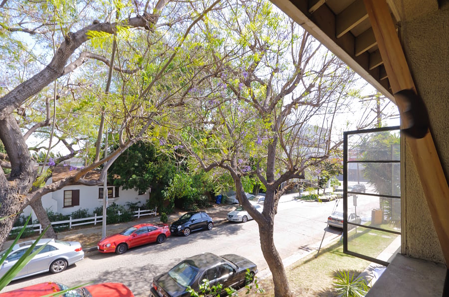 View from Living-Dining Room