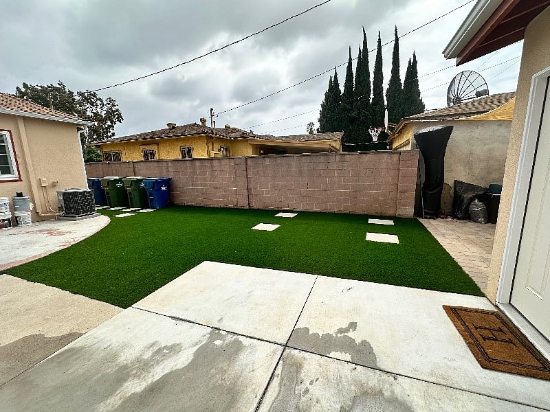 Back yard area 