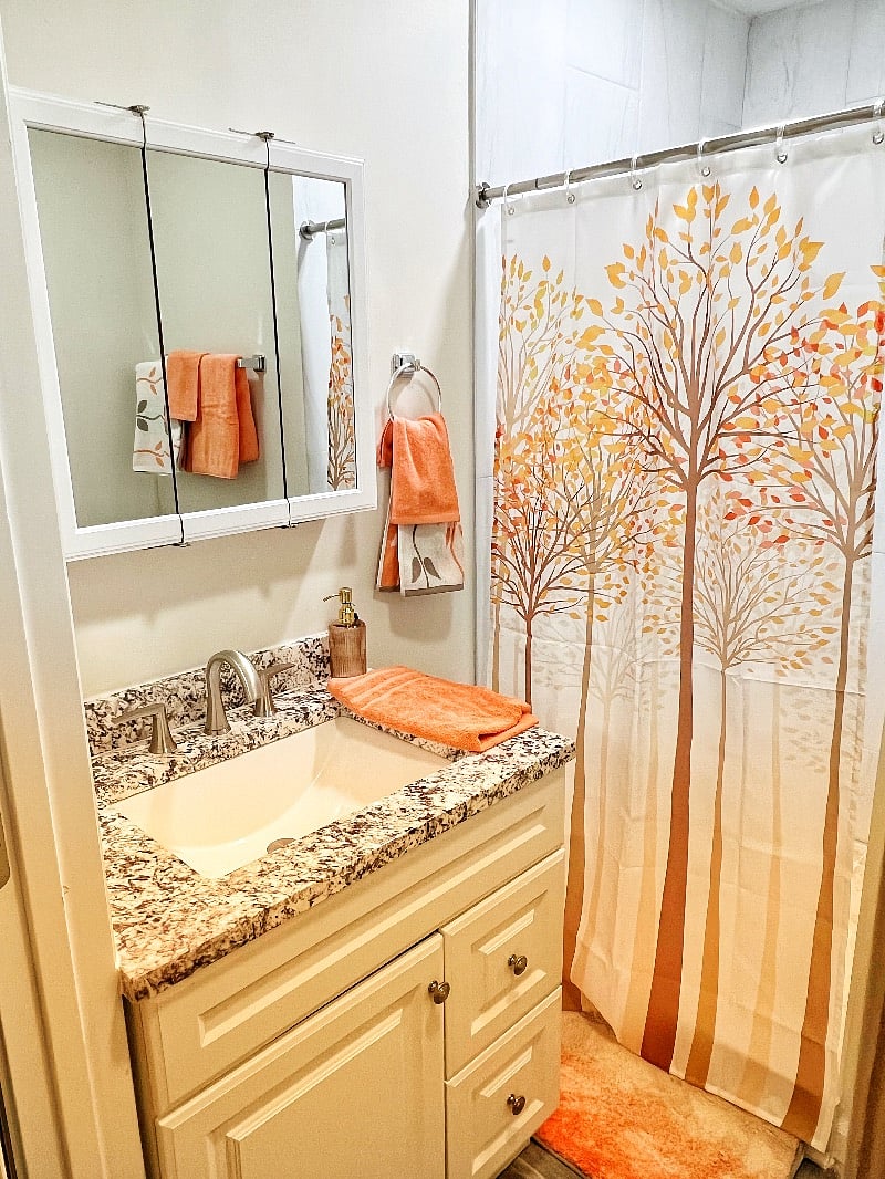 Master bathroom 