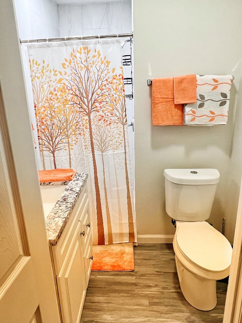 Master bathroom 