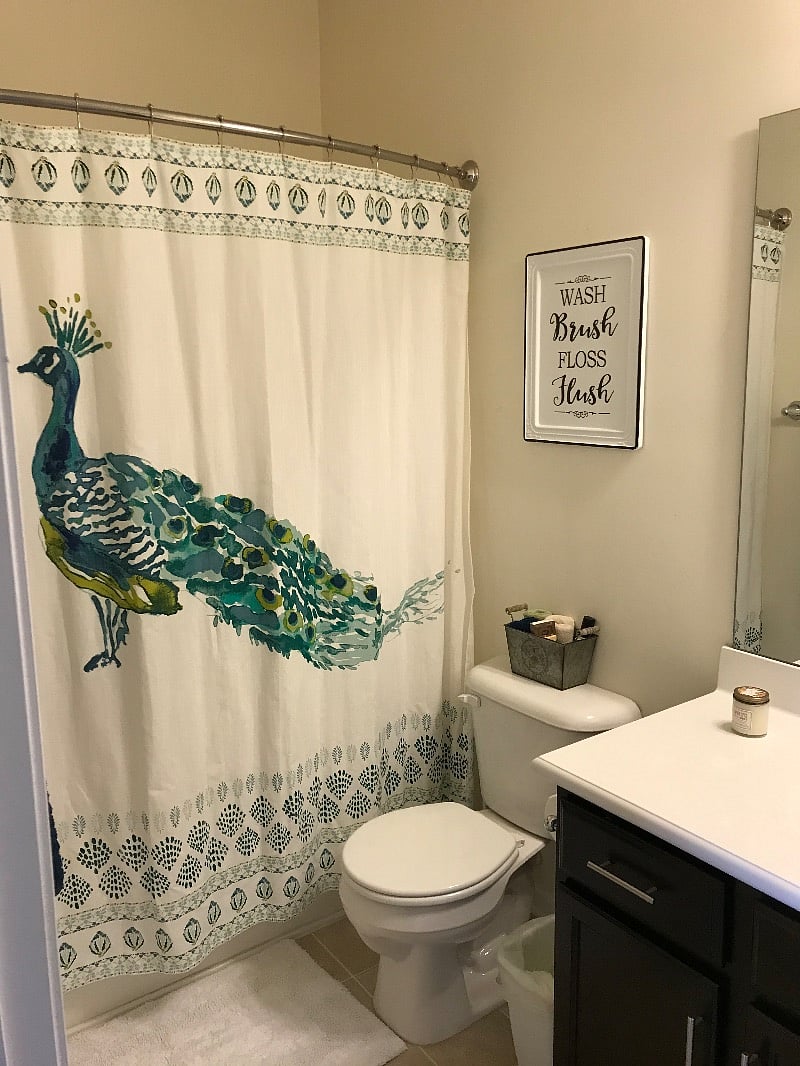Spare bedroom bath
