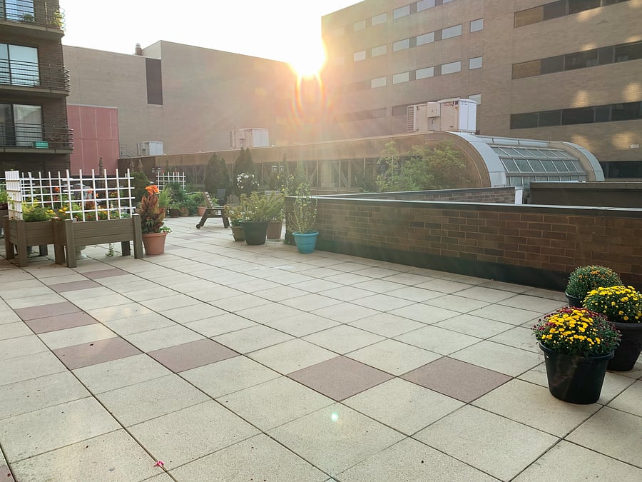 Community patio with beautiful plantings, herb garden and shared gas grill