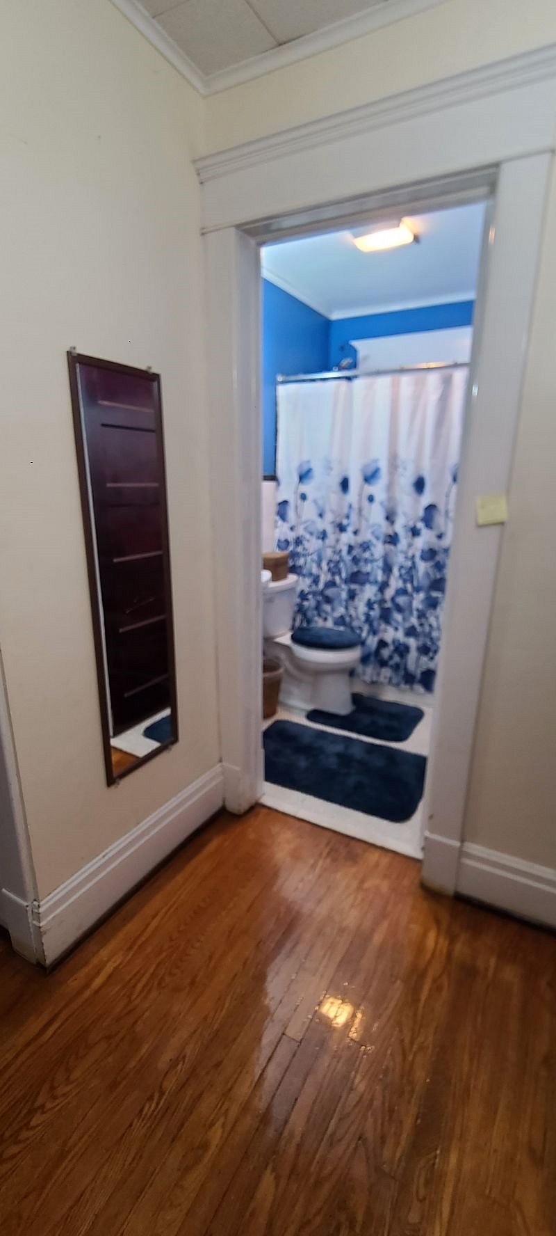 Furnished Finder property 473938_1 photo 11