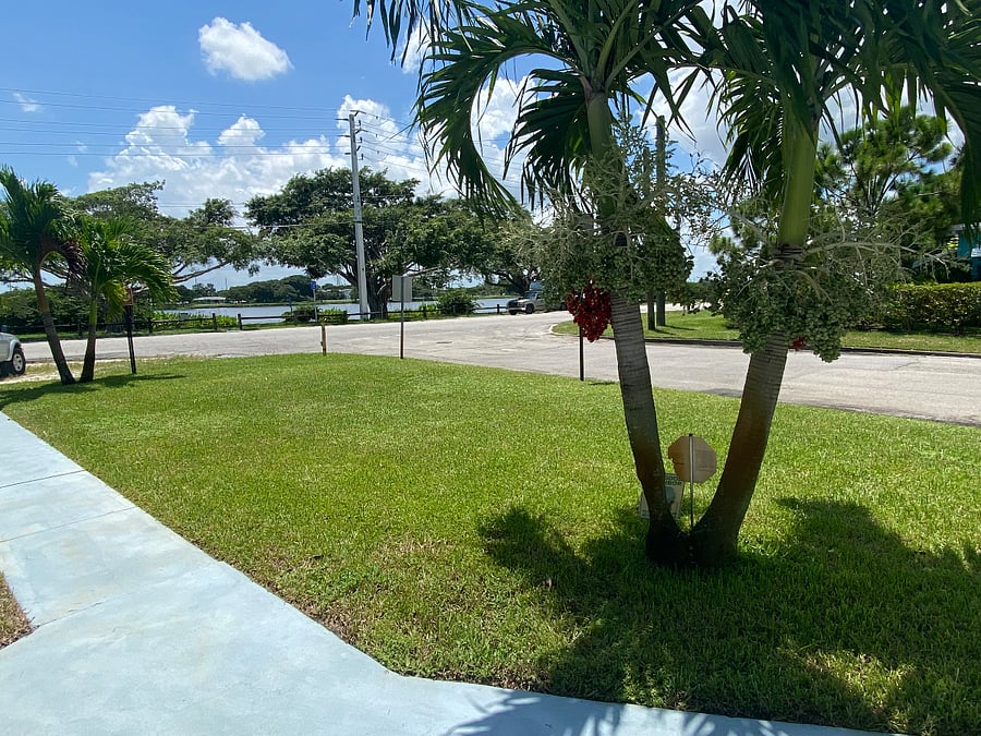 Furnished Finder property 474232_1 photo 5
