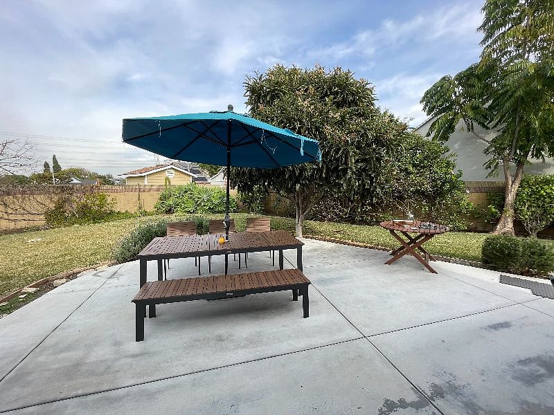 Large backyard with fruit trees