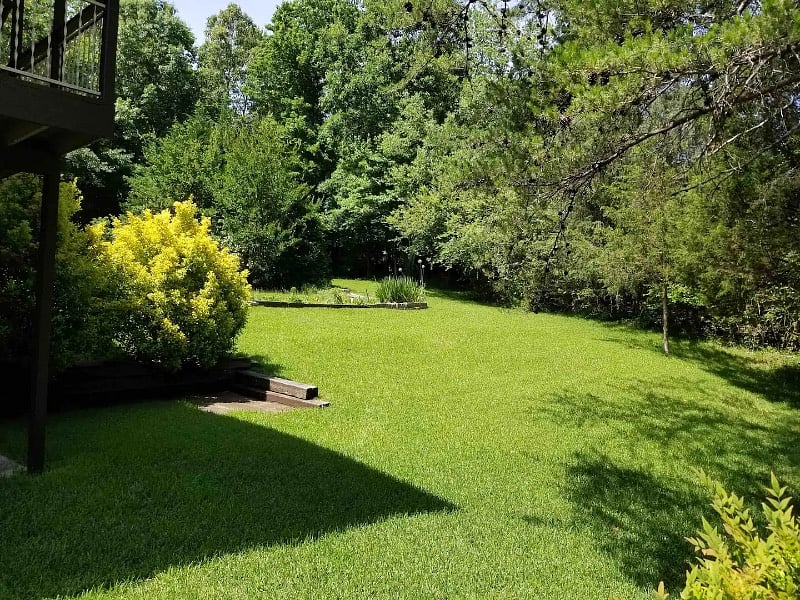 Furnished Finder property 474494_1 photo 21