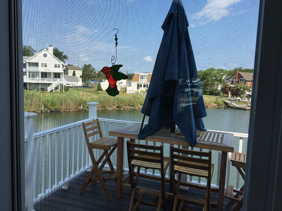 Furnished Finder property 474556_1 photo 29