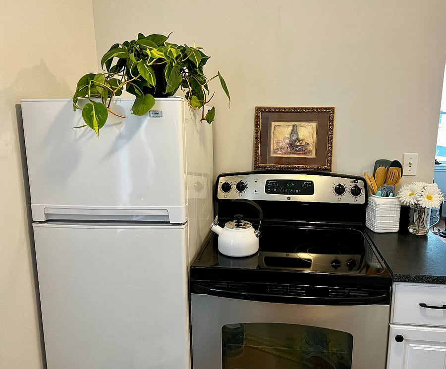 Furnished Finder property 474836_2 photo 6