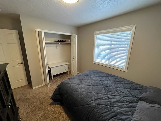 Furnished Finder property 475340_1 photo 4