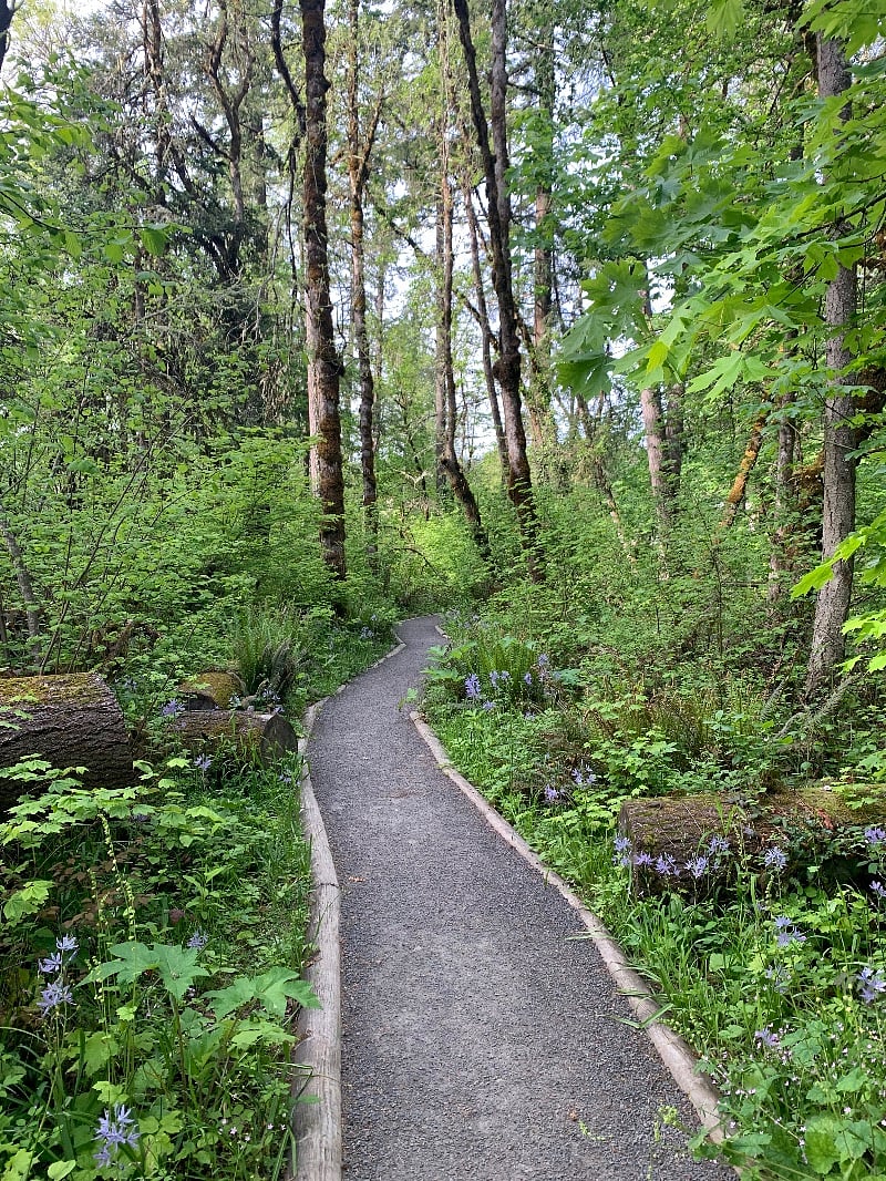 A path right behind the house