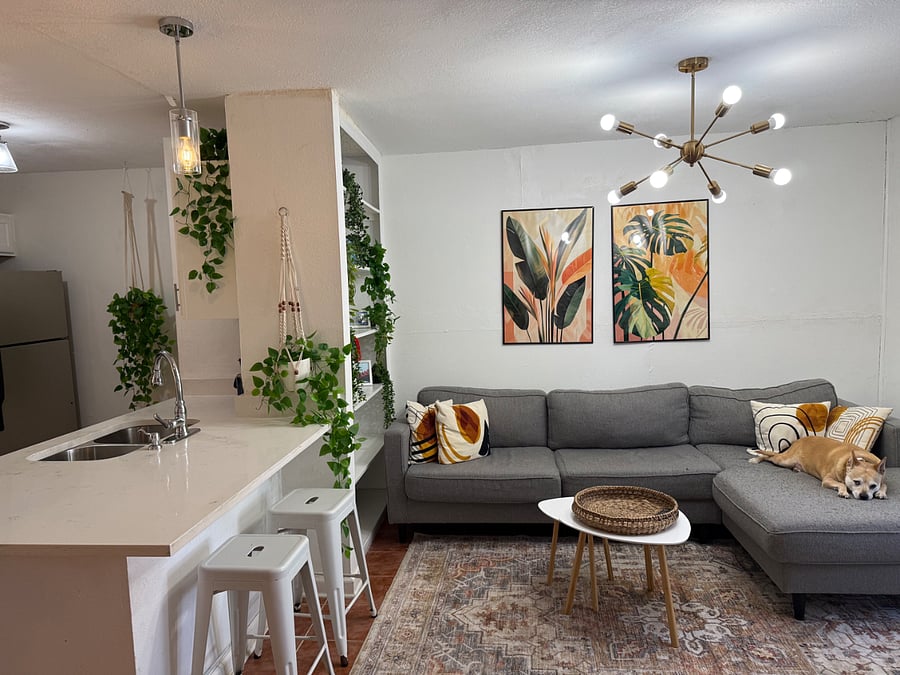 Furnished Finder property 475461_1 photo 24