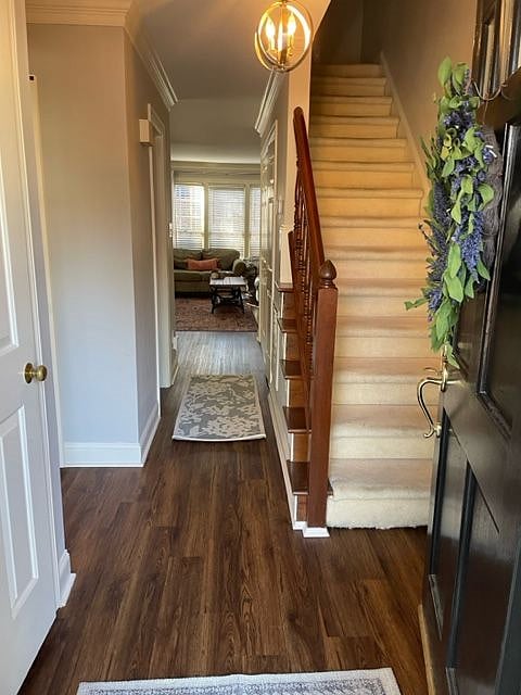Furnished Finder property 475569_1 photo 10