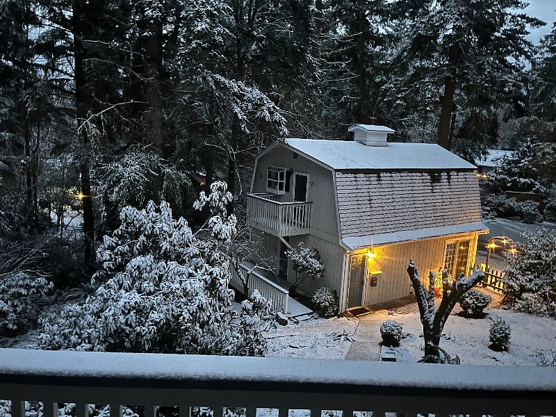 Mid-winter wonderland