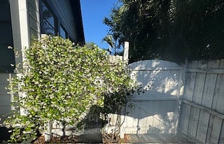 Furnished Finder property 476737_1 photo 31