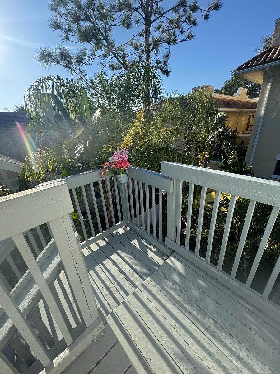 Furnished Finder property 476737_1 photo 34