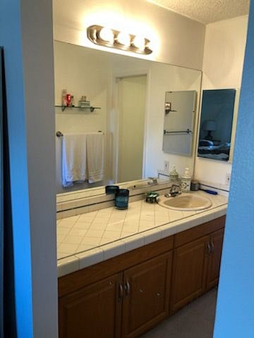 Master vanity area