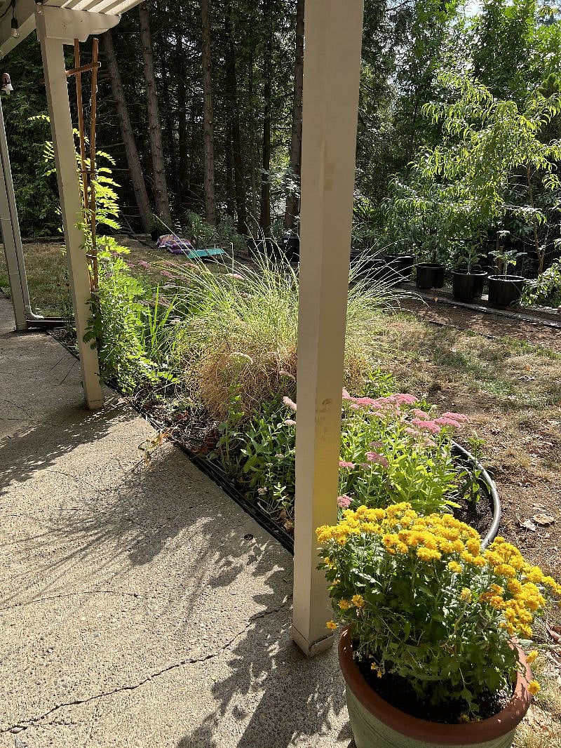 Furnished Finder property 476874_1 photo 27