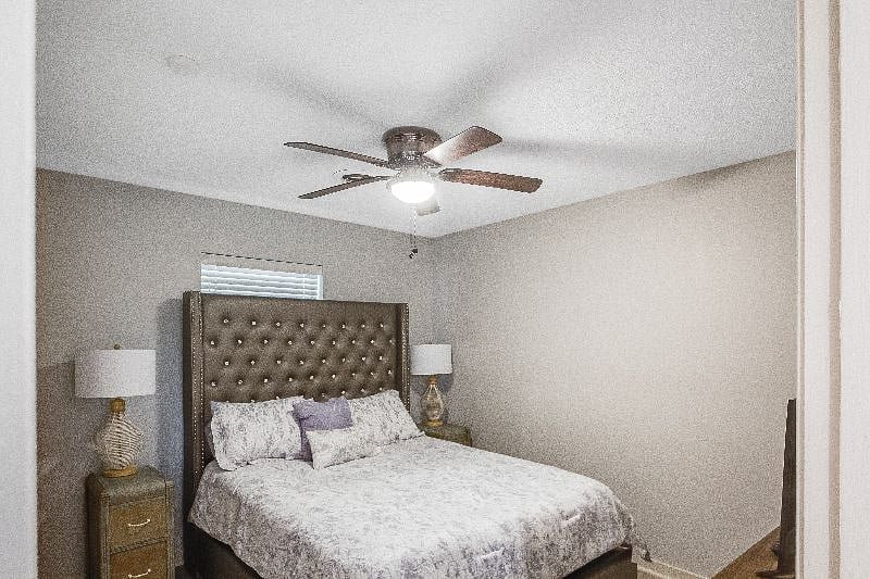 Furnished Finder property 477126_1 photo 14