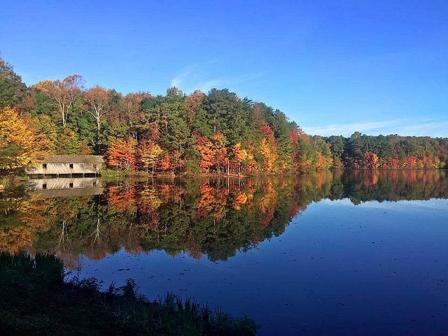 Madison County Nature Trail
