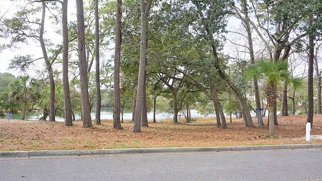 Furnished Finder property 477291_2 photo 34