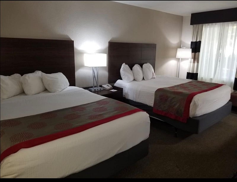 Furnished Finder property 477609_1 photo 6